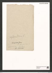 Synedra sp. (de-Toni-Nr.: Genus 66) Zeichnungen Sammlung Grunow (NHMW-BOT-W0373818)